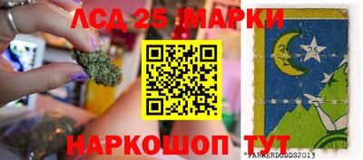 гашик Малгобек