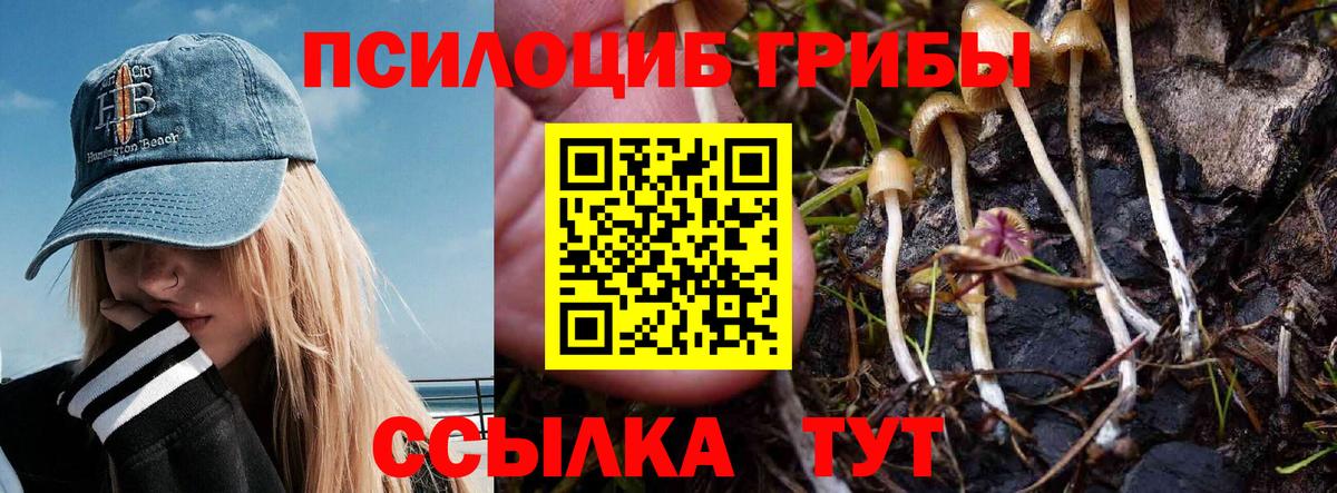 Псилоцибиновые грибы мицелий  Вход с VPN  Чайковский 