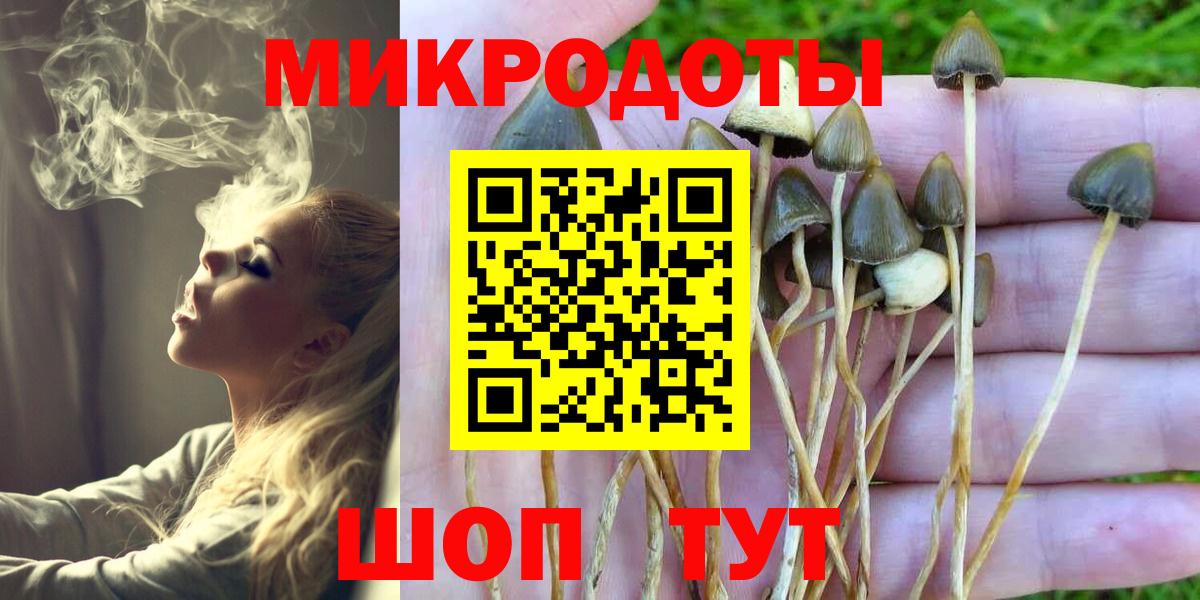Псилоцибиновые грибы Cubensis Чайковский